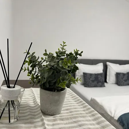 Ndl Downtown Apartment