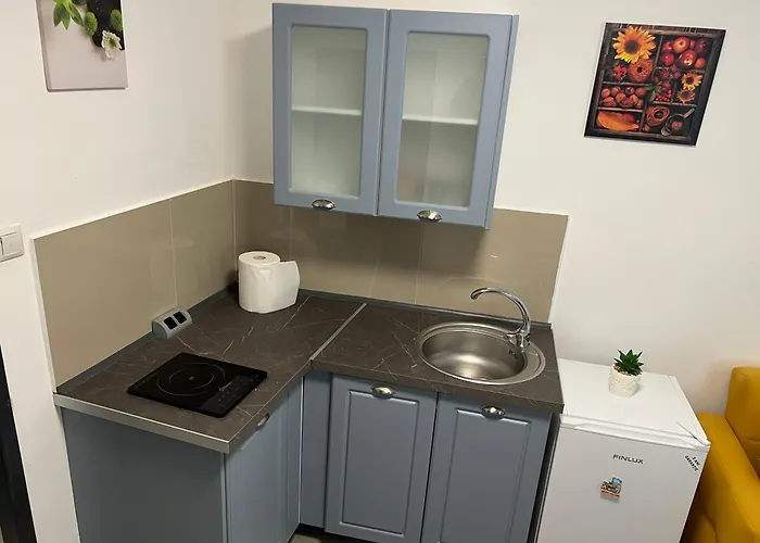 Appartement Ndl Downtown Cluj-Napoca